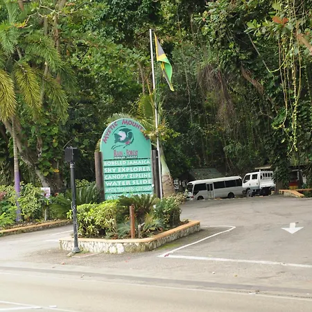 Aileen Palm Cove Ja-2