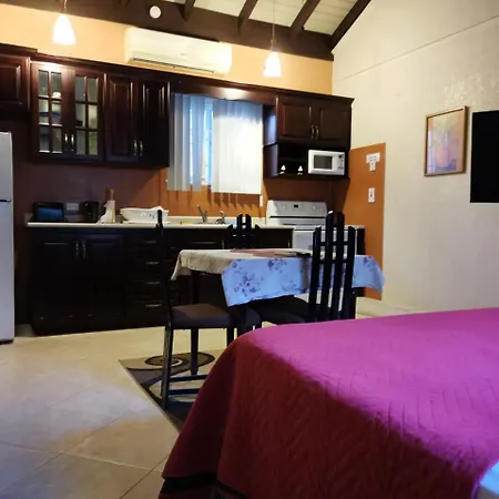 Reggae Hostel Ocho Rios-2
